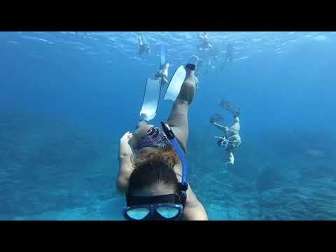 Diving Ishigaki Island, Japan | PADI x GoPro Evolution Contest Winner