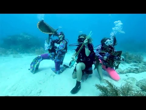 Hundreds of Divers Submerge at Underwater Music Festival in Florida