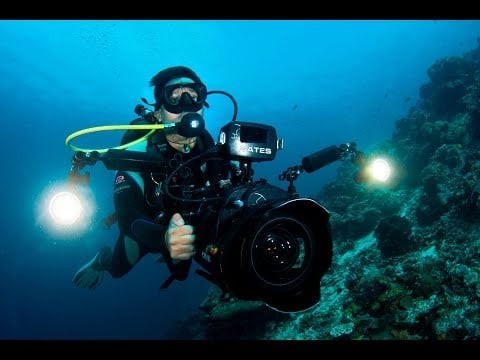 A Day in the Life of an Underwater Cameraman [HD] | Borneo from Below (S01E18) | SZtv