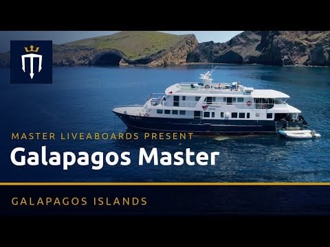 Master Liveaboards present: Galapagos Master