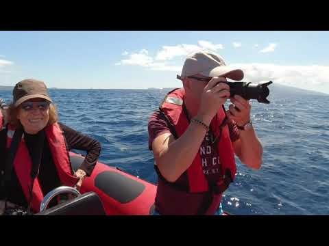 The Azores Archipelago Hope Spot, narrated by Dr. Sylvia Earle