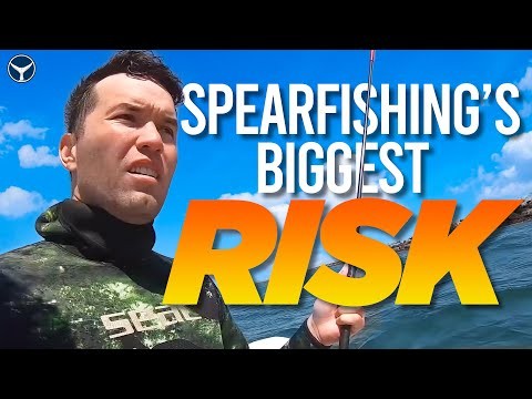Why You Should NEVER Dive Alone - Shallow Water Blackout While Spearfishing the Long Beach Oil Rigs