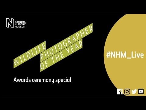 The Wildlife Photographer of the Year awards ceremony | #NHM_Live special