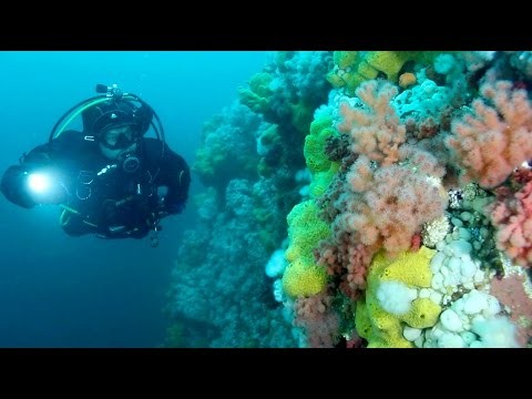 Scuba Dive British Columbia, Canada - I LOVE BC!