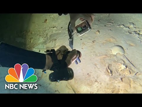Human Skeleton Found In Mexican Cave That Flooded 8,000 Years Ago