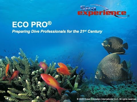 ECO PRO: Preparing Dive Professionals for the 21st Century