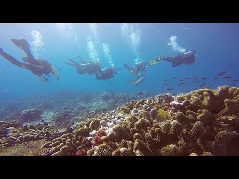PADI Women's Dive Day with Broadreach