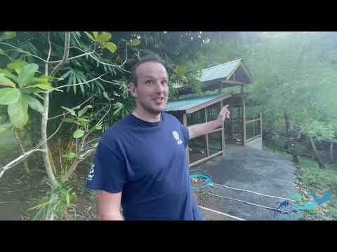 Turquoise Bay Dive & Beach Resort Roatan with Family Dive Adventures