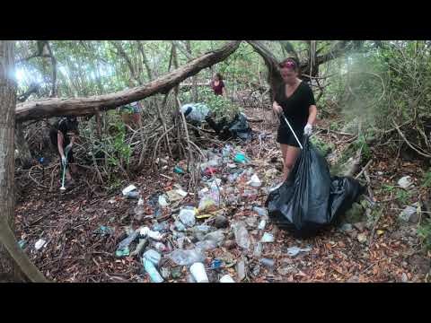 Manta Caribbean Project: Manta Mangrove Clean Up
