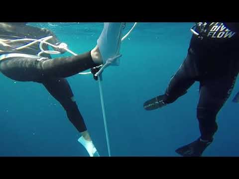 Octopus Pulling System at Freedive Flow
