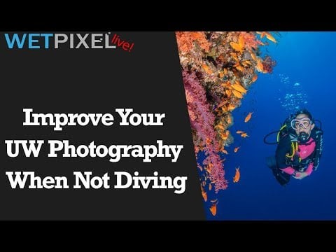 5 Ways to Improve your Underwater Photography when You Can't Dive