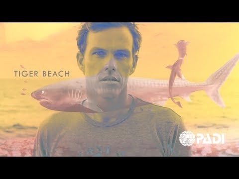 My PADI Story – Mike Coots, Shark-bite Survivor and Shark Advocate