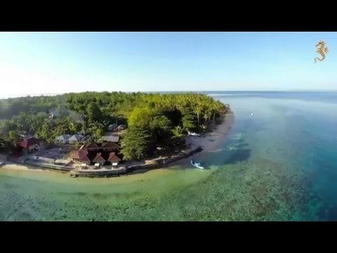 Mapia-Onong Celebes Divers National Park Bunaken 2016