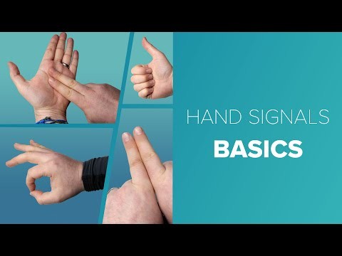 Basic Scuba Hand Signals | Dive Brief | @simplyscuba