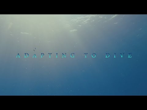 Adapting To Dive Movie Trailer