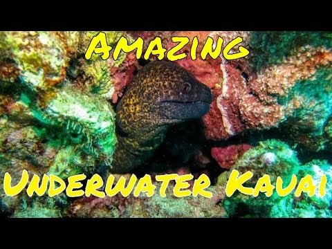 Amazing Underwater Kauai - Hawaii GoPro Scuba Diving 2015