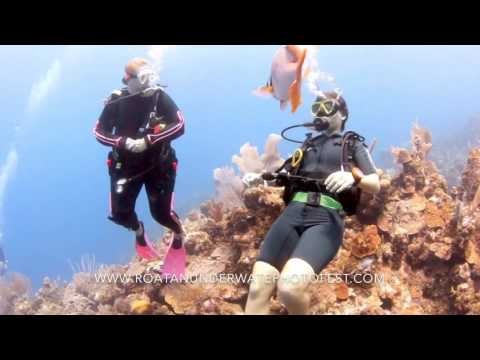 Roatan Underwater Photo Festival - Below and above surface