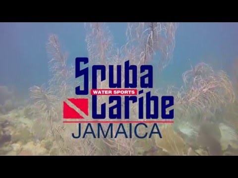 Scuba Diving Ocho Rios, Jamaica @ Moon Palace