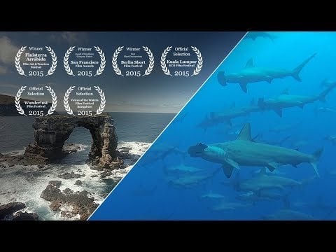 Diving Galapagos #4 – Wolf & Darwin