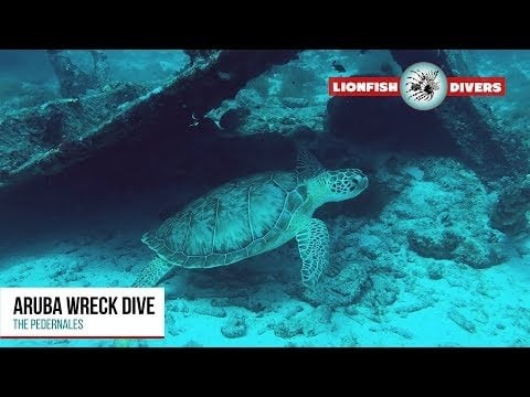 Aruba Wreck Dive - The Pedernales