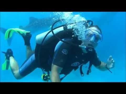 Philippines ,Oslob ,Whale sharks , best scuba diving video