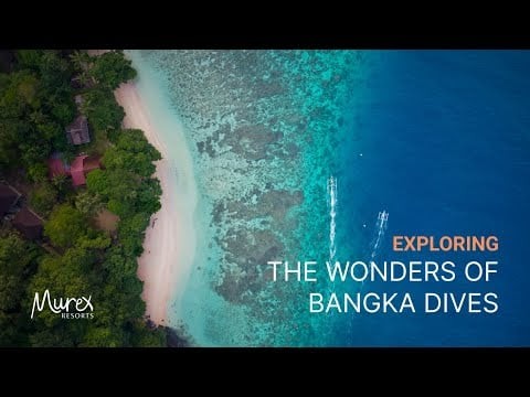 Murex Dive Resorts - Bangka Island  Promo video 4K