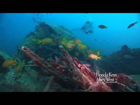 Dive Joe's Tug in Key West, Florida