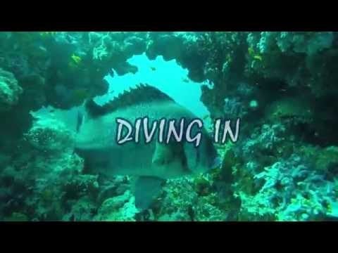 Diving in - Côte d'Azur - St. Tropez & Hyères