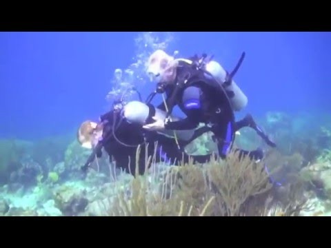 Linda scuba dives in Bonaire