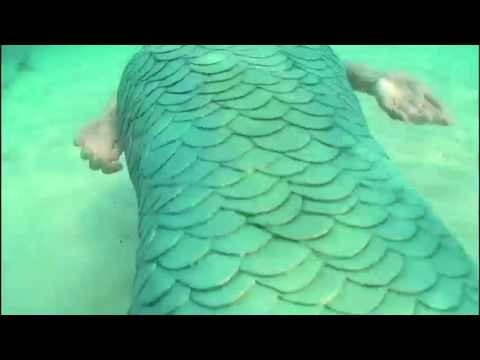 Mermaids in Motion Real Live Mermaid Promo