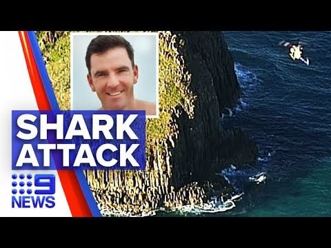 Man dies after shark attack while holidaying | 9 News Australia