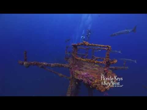 Dive The Wreck Of The Duane, Key Largo