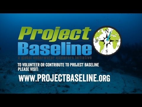What Is Project Baseline?