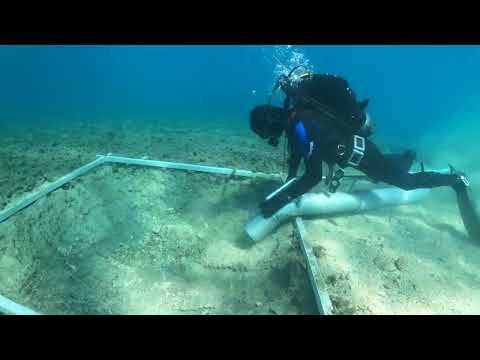 Cesta stara 7.000 godina u podmorju kod Koru?ule
