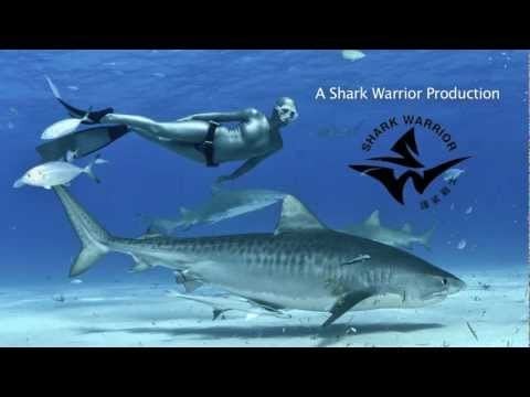LESLEY ROCHAT FREEDIVING WITH SHARKS