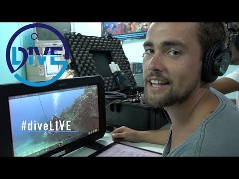 Where to watch diveLIVE