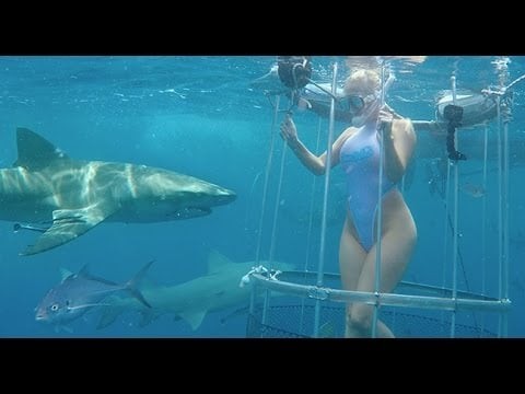 Shark Attack - Cam Girl Bitten off Florida Coast