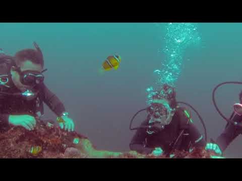 Scuba Diving - Izu Oceanic Park - Japan