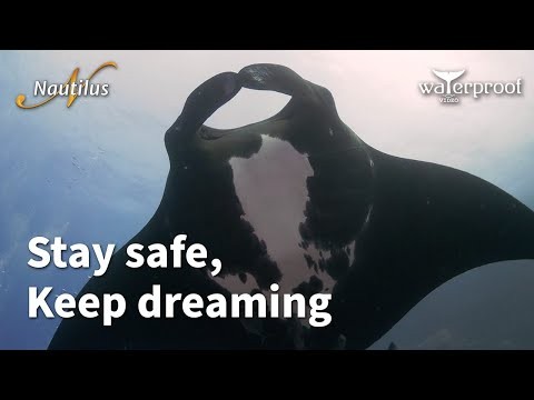 Stay safe, keep dreaming