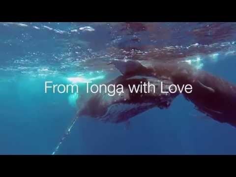 From Tonga with Love