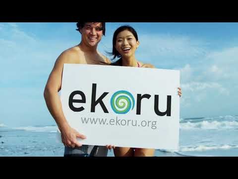 Ekoru Ocean Clean Up Search Engine