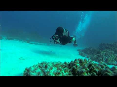 Experimental SCUBA - Swim by Static Camera