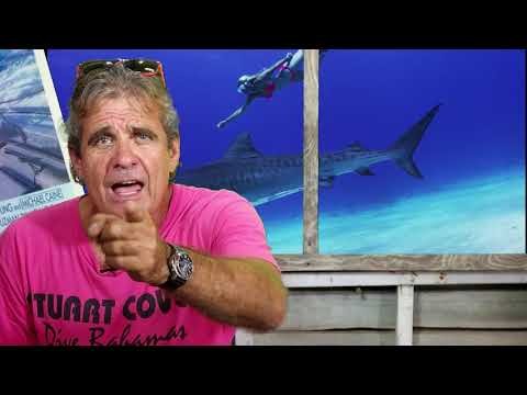 The Truth About Sharks, Last Man Diving