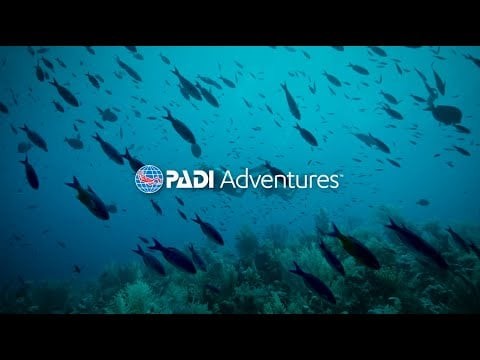 PADI Adventures App