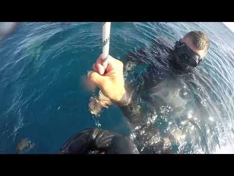 Bonaire Deepsea Challenge 2017: International Freediving Competition