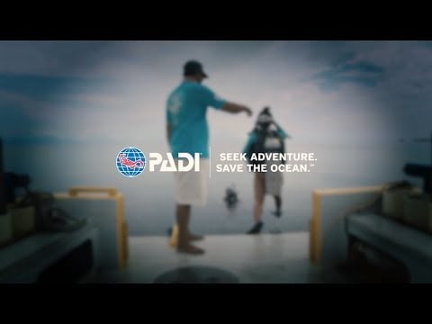A Message from Your Team at PADI