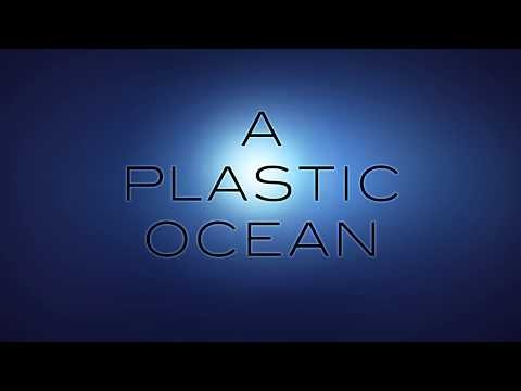 A Plastic Ocean Official Trailer aplasticocean film