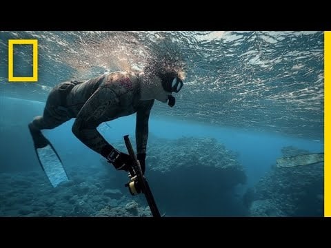 Gordon Ramsay Learns to Spearfish | Gordon Ramsay: Uncharted