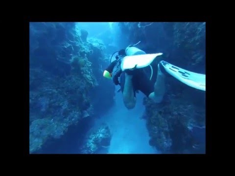 Columbia Reef (Deep), Cozumel, Mexico