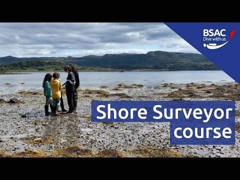 BSAC and Seawilding launch the new Shore Surveyor course!